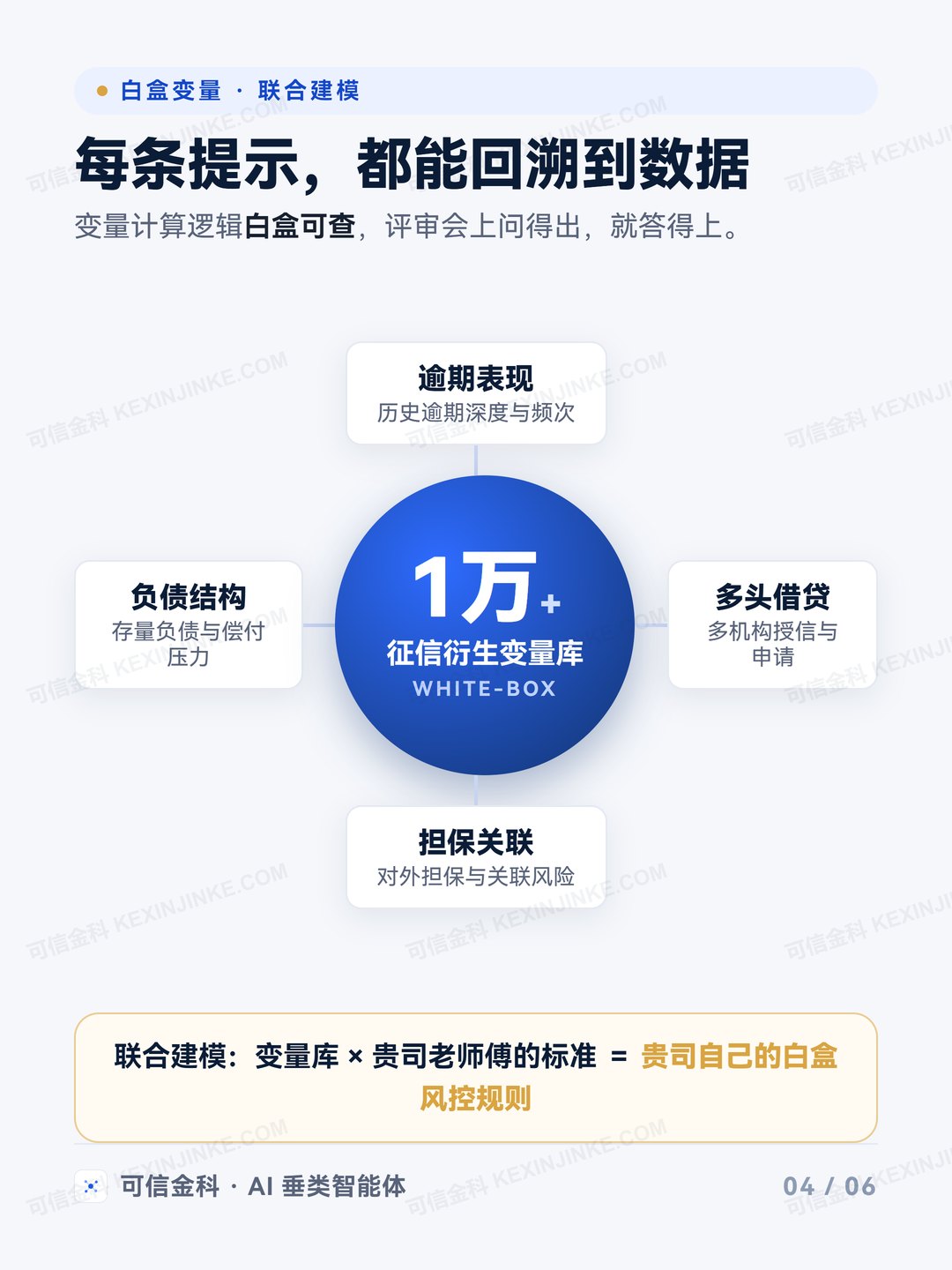 1 万+ 白盒变量库：逾期表现、负债结构、多头借贷、担保关联